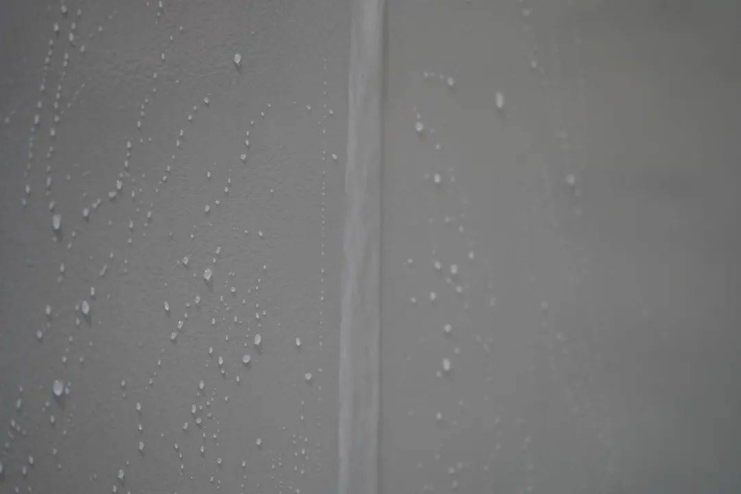 一場(chǎng)發(fā)布會(huì)，展開(kāi)微水泥革命 | 2023萬(wàn)磊廣佛千人行完滿(mǎn)成功