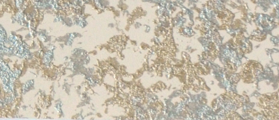 歐式內墻,藝術涂料貼圖