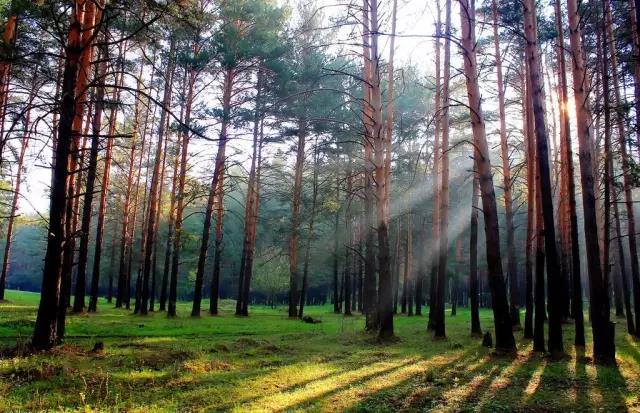 環(huán)保風(fēng)暴襲擊，萬磊居然還去了北京搞了這么大件事...