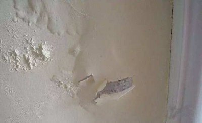 硅藻泥和乳膠漆哪個(gè)好？看一下便知道