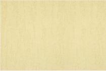 水性硅藻泥-米洞石TR+E8A