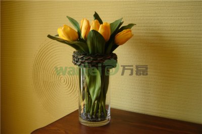 有了硅藻泥，新房入住不再等！